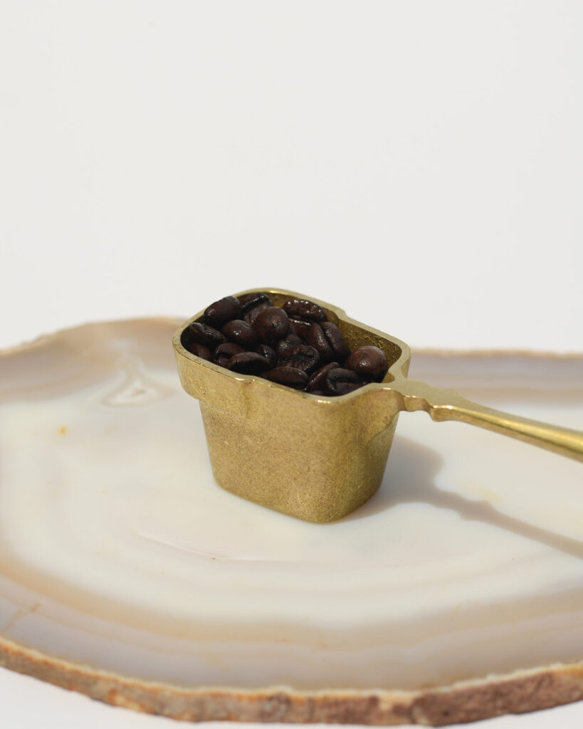 coffee measuring spoon | コーヒーメジャースプーン