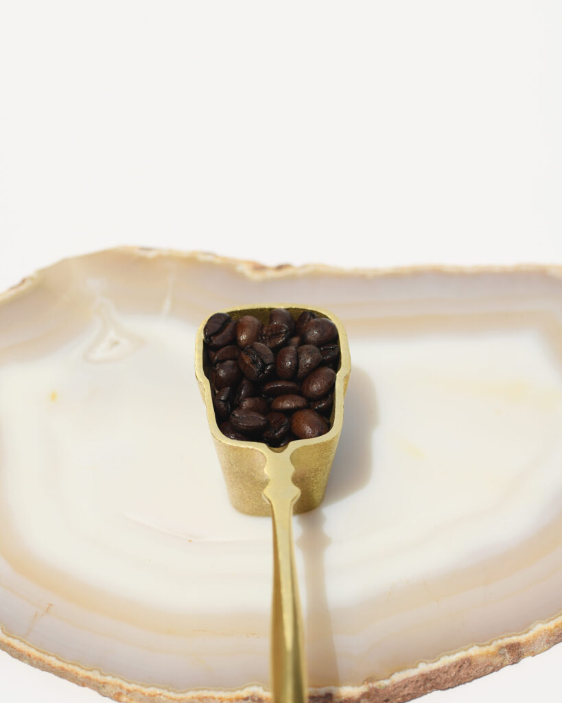 coffee measuring spoon | コーヒーメジャースプーン