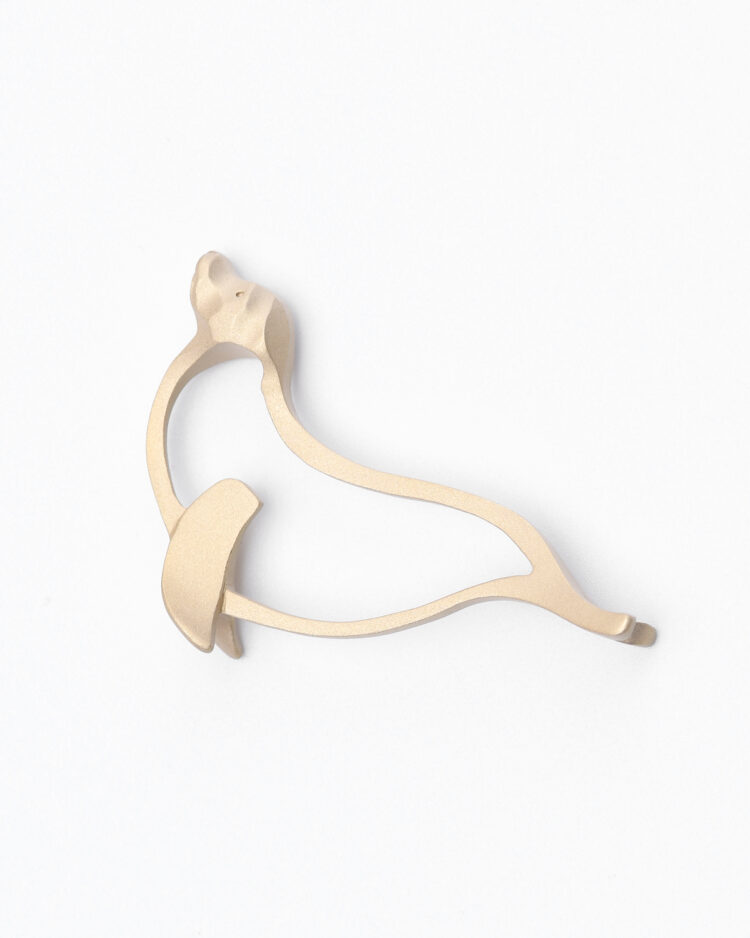 Sea Lion Keyring｜アシカ